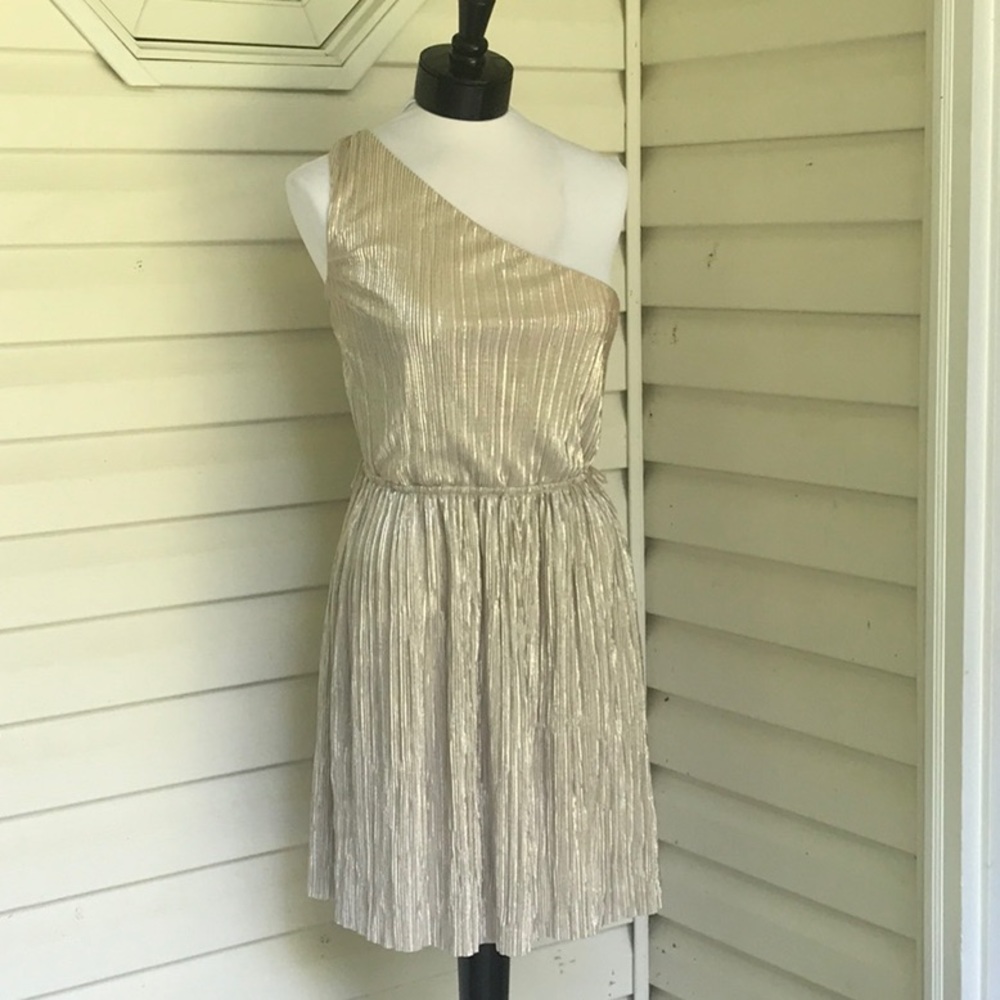 Express Metallic pleated one shoulder dress